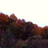 Deutschhh ALTMIŞBİN🇹🇷🇩🇪 (@deutschhh1) Twitter profile photo