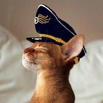 evanzacapa's profile picture. Rum collector. Cat enthusiast. Copyright lawyer. Anti-Fascist and proud of it.