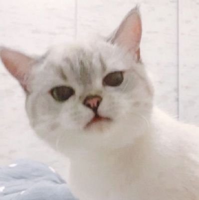 acherrywhine Profile Picture