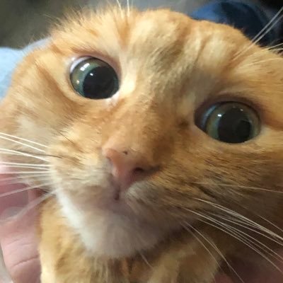 delahni's profile picture. 