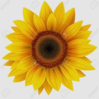 sunfloweruluv Butik(@sunfloweruluv) 's Twitter Profile Photo