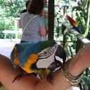 Christine Halliday - @island8living - Twitter