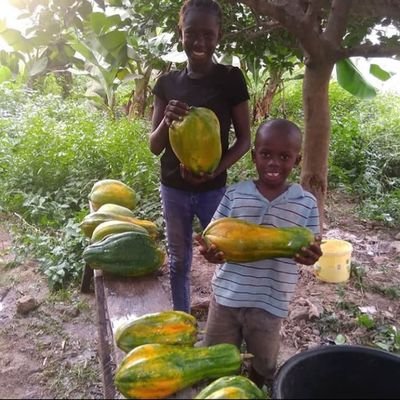 my name is Abdou Ceesay from the Gambia 🇬🇲 west Africa I'm 23yrs old I'm an orphan😭 being poor is really not a wish
