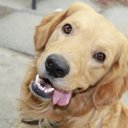 Vanessa Edgar - @nessee22 - Twitter