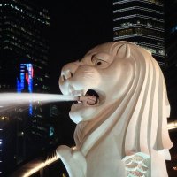 tkn333 (@tkn3331) Twitter profile photo