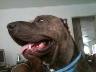 BIGBUDDASWORLD's profile picture. 