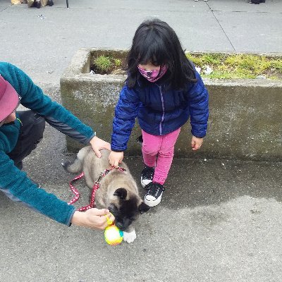 banchuelben's profile picture. Liberta a los niños de clase baja tienen derecho ser feliz no a la burguesía políticas quita el derecho los pobre