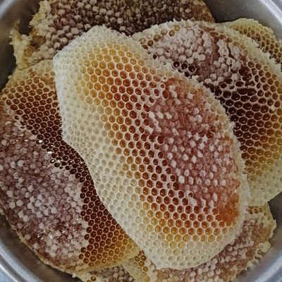 نحال سعودي من جنوب المملكه منطقه عسير محافطه رجال اقدم للعميل اجود انواع العسل البلدي و المستورد و جميع منتجات النحل
للتواصل 0502888986