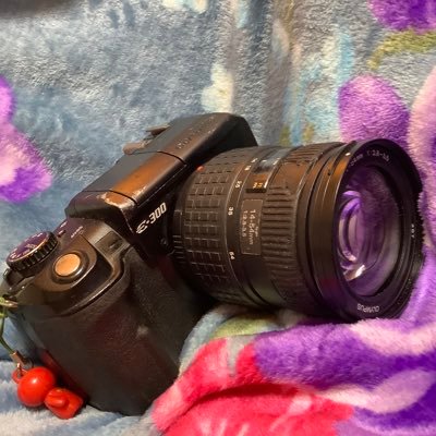 N青木さんのプロフィール画像