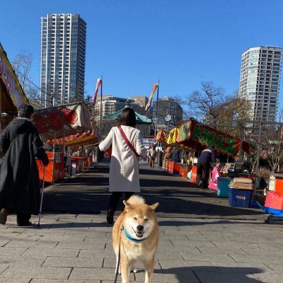 Robert78621866's profile picture. 