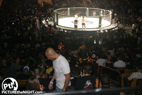CageWarriorsUSA's profile picture. Bringing the biggest MMA events to Orlando, Florida