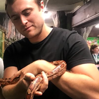 Berbharris's profile picture. 🇾🇪