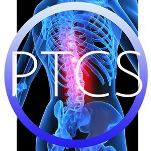 Experienced Physical Therapist, professional coach, personal trainer, consultant, presenter, educator, and someone who is passionate about learning and teaching