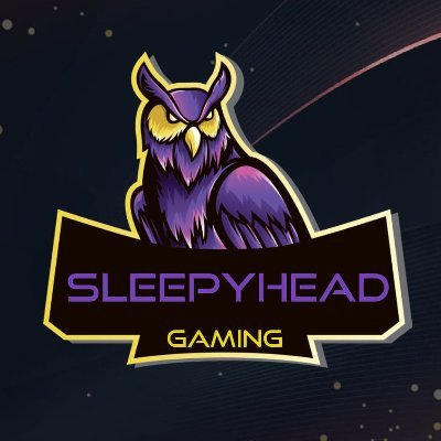 SleepyHead Gaming
