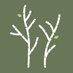 Twin Birch (@twinbirchusa) Twitter profile photo Twin Birch (@twinbirchusa) Twitter profile photo