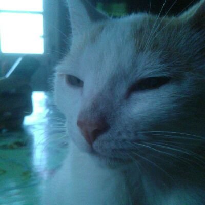 Mich Bae~さんのプロフィール画像