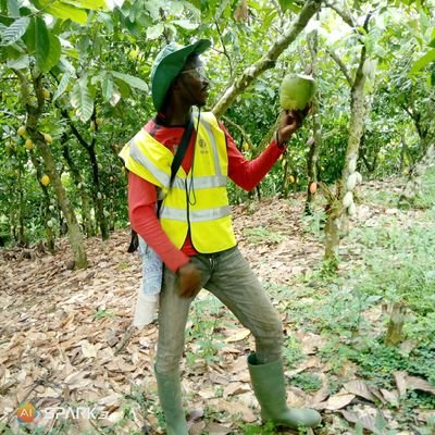 FadaAirborney's profile picture. STAFF @ CHED- GHANA COCOBOD