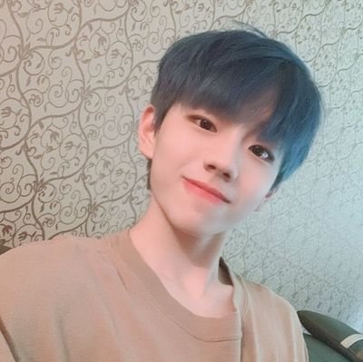 teddywonjun's profile picture. ்⋆ 𝘥𝘢𝘺𝙙𝙧𝙚𝙖𝙢 ⊹ 𝟖 𝖿𝗈𝗋𝖾𝗏𝖾𝗋 ⿻