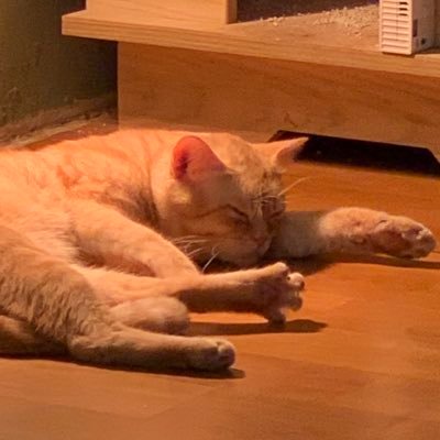 SWE & sometimes security researcher, NYU MSCS, member of https://t.co/R4a4yethba and @acebearteam. PL theorist wannabe. He/him/*. Views are my own, not my employers’