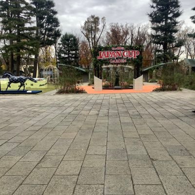 sio1403's profile picture. 競馬が難し過ぎて 怖くて複勝しか買えなくなりました パオーン