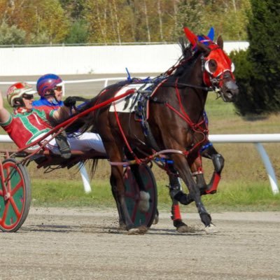 Maine harness racing 🐎 off and pacing stable: JandL harness racing