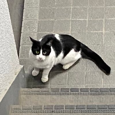 y8_lycoris's profile picture. 美味しいものいっぱい食べたい