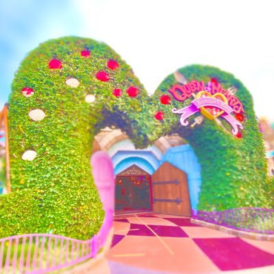 しろくろさんのプロフィール画像