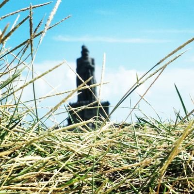 anandur2311995's profile picture. 