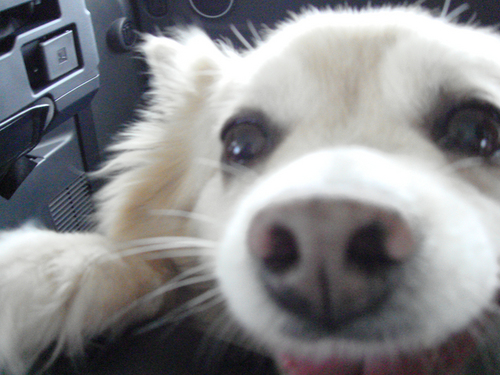 psymitti's profile picture. 