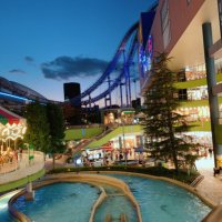 Yusuke (@program9989) 's Twitter Profile