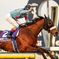 コトノミヅタン (@kotono5106) 's Twitter Profile Photo