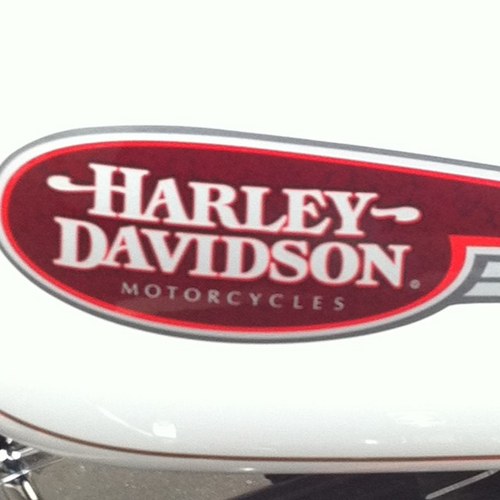 felt5816's profile picture. 