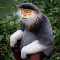 S. McGonical (@1621records) 's Twitter Profile Photo