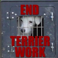 End Terrier Work (@endterrierwork) 's Twitter Profile