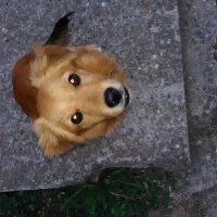 Marconius (@marconius9) 's Twitter Profile