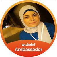 Nour elakhdar(@NElakhdar) 's Twitter Profile Photo