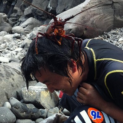 karky7's profile picture. gentoo,solaris,haskell,python...offloader...最近走れてない