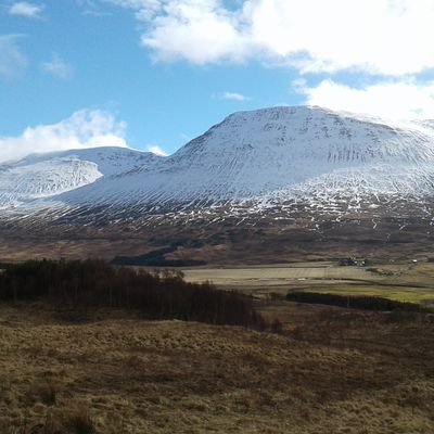 zamcasla's profile picture. 