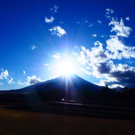 _mitsuko_n's profile picture. Neurology Trainee | Clinical Research Fellow | UCL HD Centre | Neuroimaging | Neurodegeneration | Huntington's disease