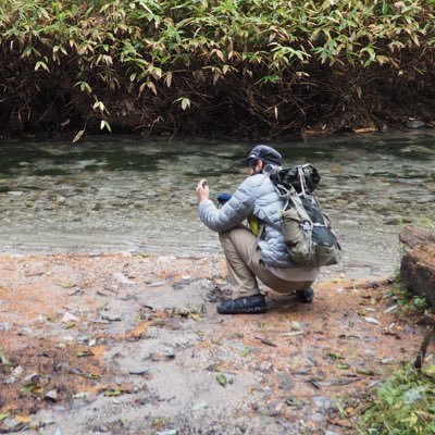 45cm陰性水草キューブ水槽を維持しています。河川環境が好きです。YouTube・Instagram・ブログ等なんでもやってます。最近は園芸全般にハマっている。 #アクアリウム