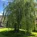 Stonehouse Community Arboretum (@stonehousetrees) Twitter profile photo Stonehouse Community Arboretum (@stonehousetrees) Twitter profile photo