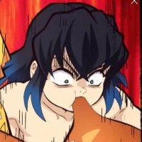 tigre Ramón (@nohayhucha) 's Twitter Profile