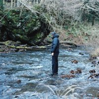 hiro itou (@hiroitou_) 's Twitter Profile