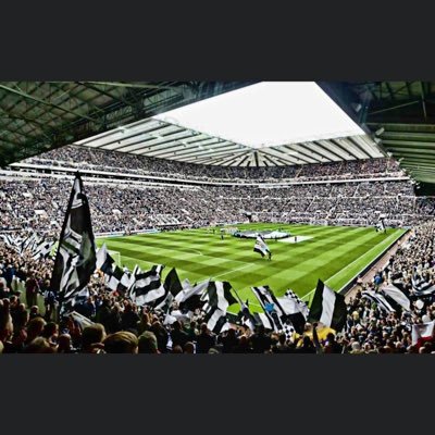 No longer a long suffering NUFC fan, self employed & owner of my own business for 29 years,