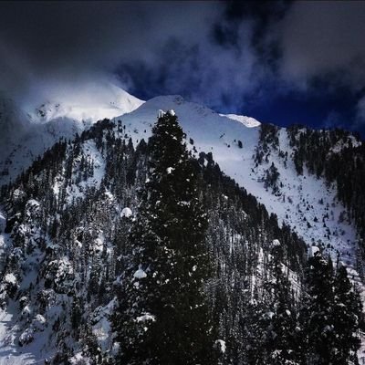 ravi_fighter72's profile picture. Appreciate and Criticize