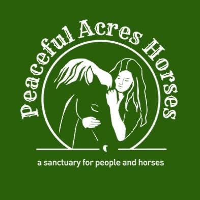 Authentic, Compassionate, Healing Sanctuary for Rescued Equines. Programs for the community. People’s helping horses helping people.