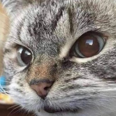 OSRSChain's profile picture. Dataspillspiller