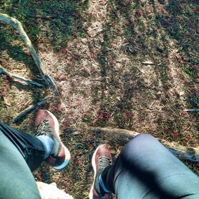 SolCycle's profile picture. 🦂 𝕷𝖔𝖘 𝕬𝖓𝖌𝖊𝖑𝖊𝖘 ☀️