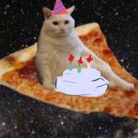 æ위깅이(F발씨) (@betmylifeoncats) 's Twitter Profile Photo æ위깅이(F발씨) (@betmylifeoncats) 's Twitter Profile Photo