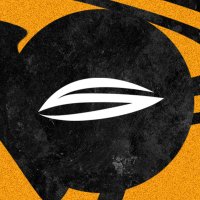 Saylen Gaming (@saylengaming) 's Twitter Profile